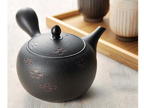 Théière Tokoname Shunju